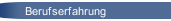 Berufserfahrung 
